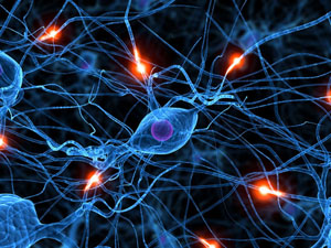 Réseau de neurones Réseau de neurones